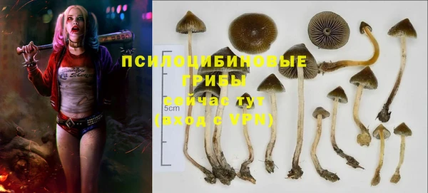 mdma Гусиноозёрск